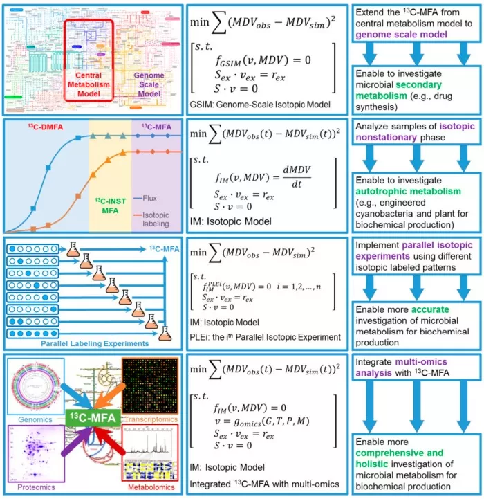 ¹³C-MFA workflow or SILAC-based proteomics pipeline